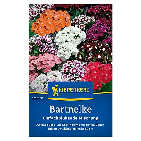 Kiepenkerl  Blumensamenmischung Bartnelke einfachblühende Mischung