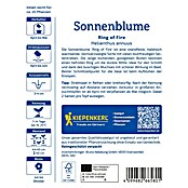 Kiepenkerl Profi-Line Blumensamen Sonnenblume Ring of Fire (Helianthus annuus, Mehrfarbig) | BAUHAUS