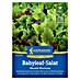 Kiepenkerl Profi-Line Salatsamen Blattsalat Babyleaf Maraldi-Mischung 