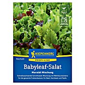 Kiepenkerl Profi-Line Salatsamen Blattsalat Babyleaf Maraldi-Mischung (Lactuca sativa, Erntezeit: April) | BAUHAUS