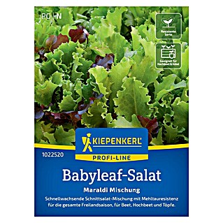 Kiepenkerl Profi-Line Salatsamen Blattsalat Babyleaf Maraldi-Mischung (Lactuca sativa, Erntezeit: April)
