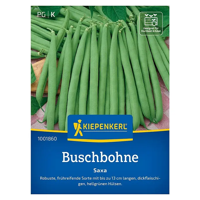 Kiepenkerl Gemüsesamen Buschbohne Saxa - Phaseolus vulgaris var. nanus, Erntezeit: Juli - Abbildung einer Samenpackung Kiepenkerl Buschbohne 'Saxa', eine robuste und frühreifende Sorte.