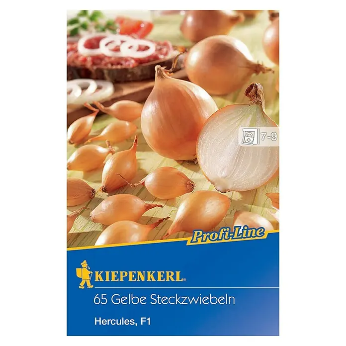 Kiepenkerl Steckzwiebeln Hercules - Allium cepa, Erntezeit: Juli - Abbildung einer Packung Kiepenkerl 65 Gelbe Steckzwiebeln "Hercules, F1" mit Zwiebeln und einem Wurstbrot.