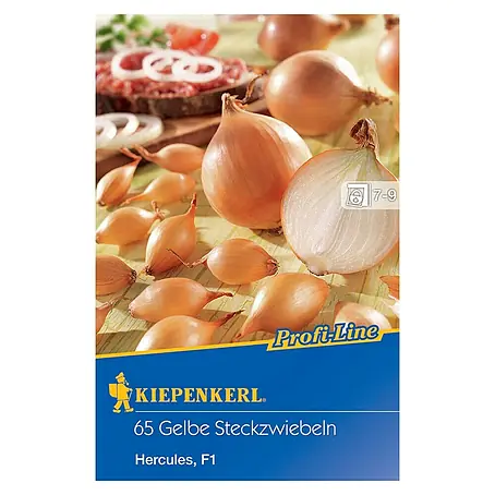 Kiepenkerl  Steckzwiebeln Hercules
