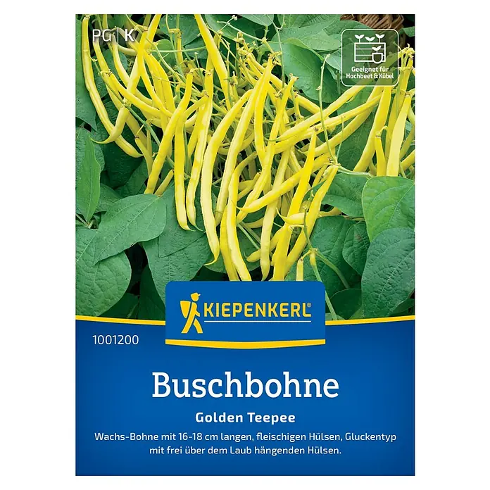 Kiepenkerl Profi-Line Gemüsesamen Buschbohne Teepee - Phaseolus vulgaris var. nanus, Erntezeit: Juli - Samenpackung Buschbohne "Golden Teepee" von Kiepenkerl, geeignet für Hochbeete und Kübel.