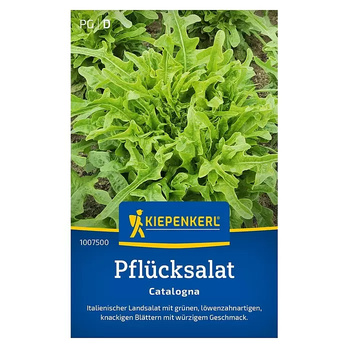 Kiepenkerl Pflücksalat Catalogna - Lactuca sativa - Kiepenkerl Pflücksalat Catalogna Samenpackung mit Abbildung von grünen Blättern.
