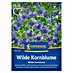 Kiepenkerl Profi-Line Blumensamen Wilde Kornblume 