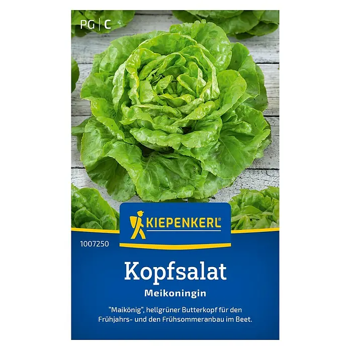 Kiepenkerl Salatsamen Kopfsalat - Lactuca sativa var. capitata - Das Bild zeigt "Kopfsalat Meikoningin" von Kiepenkerl, einen hellgrünen, knackigen Salat für den Anbau im Frühjahr und Sommer.