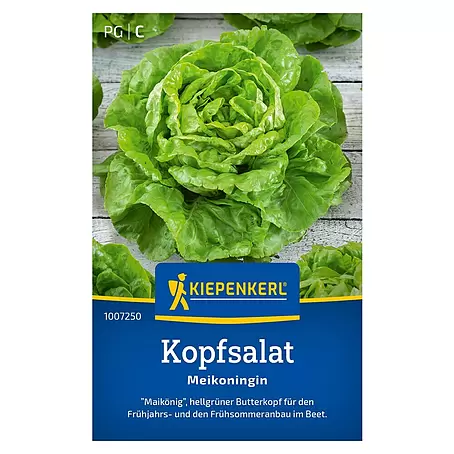 Kiepenkerl  Salatsamen Kopfsalat