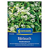 Kiepenkerl Profi-Line Kräutersamen Bärlauch Waldknoblauch (Allium ursinium, Saatzeit: Januar, Erntezeit: Ganzjährig) | BAUHAUS
