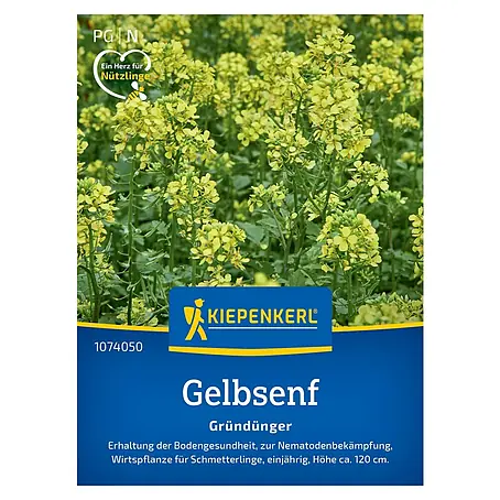 Kiepenkerl  Gründüngung Gelbsenf
