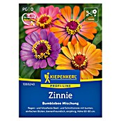 Kiepenkerl Profi-Line Blumensamen Zinnien (Zinnia elegans, Mehrfarbig) | BAUHAUS