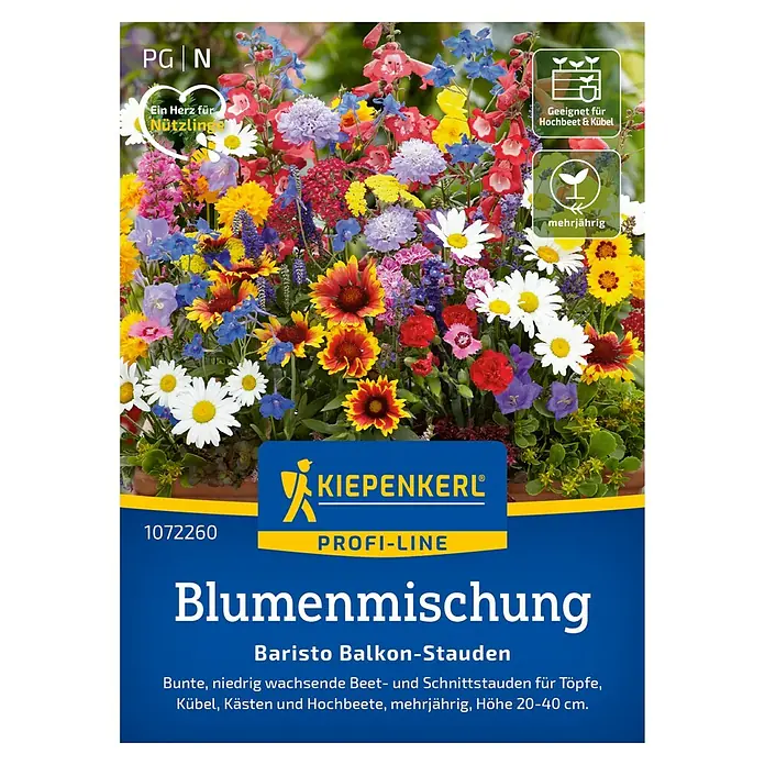 Kiepenkerl Profi-Line Blumensamen Balkon-Stauden - Verschiedene Sorten, Mehrfarbig - Blumenmischung "Baristo Balkon-Stauden" von Kiepenkerl: Bunte, niedrig wachsende Beet- und Schnittstauden für Töpfe, Kübel, Kästen und Hochbeete.