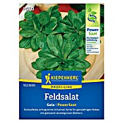 Kiepenkerl Profi-Line Salatsamen Feldsalat Gala PowerSaat (Valerianella locusta, Erntezeit: Ganzjährig, 2,3 g) | BAUHAUS