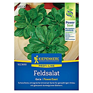 Kiepenkerl Profi-Line Salatsamen Feldsalat Gala PowerSaat (Valerianella locusta, Erntezeit: Ganzjährig, 2,3 g)