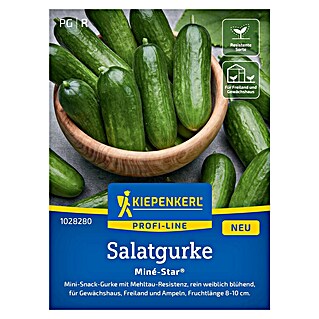 Kiepenkerl Profi-Line Gemüsesamen Salatgurke Miné-Star® (Cucumis sativus, Erntezeit: Juli)