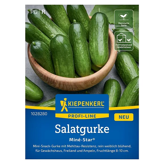 Kiepenkerl Profi-Line Gemüsesamen Salatgurke Miné-Star® - Cucumis sativus, Erntezeit: Juli - Abbildung einer Samenpackung Kiepenkerl Salatgurke Miné-Star®, einer resistenten Sorte für Freiland und Gewächshaus, mit Abbildung der Gurken.