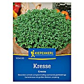 Kiepenkerl Profi-Line Saatgut Kresse Cresto (Lepidium sativum) | BAUHAUS