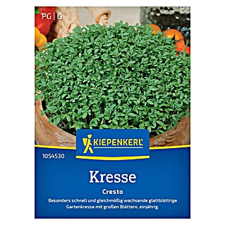Kiepenkerl Profi-Line Saatgut Kresse Cresto (Lepidium sativum)
