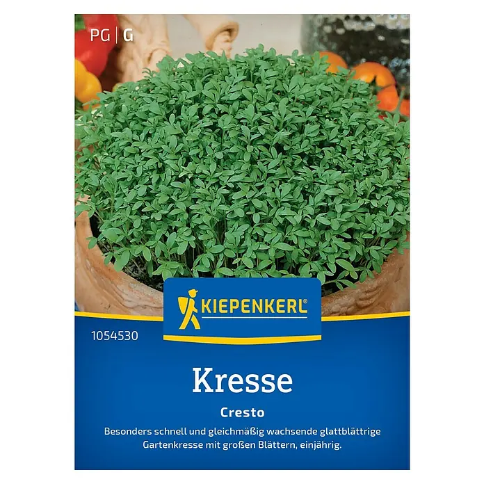 Kiepenkerl Profi-Line Saatgut Kresse Cresto - Lepidium sativum - Samenpackung Gartenkresse 'Cresto' von Kiepenkerl. Schnellwüchsige, glattblättrige Kresse mit großen Blättern für den Garten.