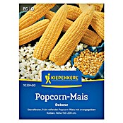 Kiepenkerl Profi-Line Gemüsesamen Popkornmais (Zea mays, Erntezeit: September) | BAUHAUS