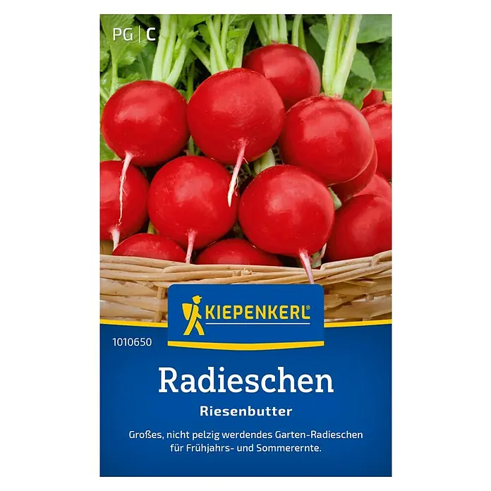 Kiepenkerl Gemüsesamen Radieschen Riesenbutter - Raphanus sativus var. sativus, Erntezeit: Juni - Samenpackung für Radieschen "Riesenbutter" von Kiepenkerl. Große, nicht pelzig werdende Radieschen für Frühjahrs- und Sommerernte.