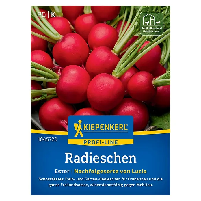 Kiepenkerl Profi-Line Gemüsesamen Radieschen Ester - Raphanus sativus var. sativus, Erntezeit: April - Radieschen "Ester" Samenpackung von Kiepenkerl. Für den Anbau im Freien und im Gewächshaus geeignet, schossfest und mehltauresistent.
