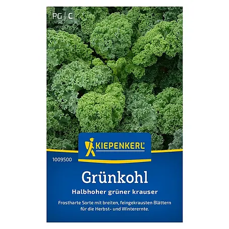 Kiepenkerl  Gemüsesamen Grünkohl