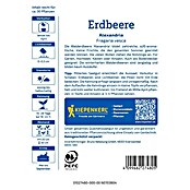 Kiepenkerl Profi-Line Obstsamen Erdbeere Alexandria (Fragaria vesca, Erntezeit: Mai) | BAUHAUS