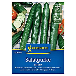 Kiepenkerl Profi-Line Gemüsesamen Salatgurke (Cucumis sativus, Erntezeit: Juni)
