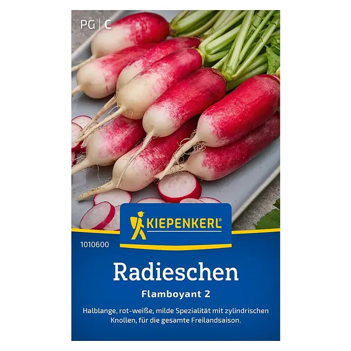 Kiepenkerl Gemüsesamen Radieschen Flamboyant 2 - Raphanus sativus var. sativus, Erntezeit: April - Ein Bund Radieschen 'Flamboyant 2' mit rot-weißen Knollen und grünen Blättern, eine milde Spezialität für die Freilandsaison.