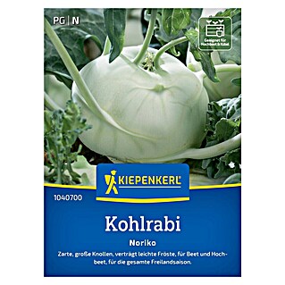 Kiepenkerl Profi-Line Gemüsesamen Kohlrabi Noriko (Brassica oleracea var. gongylodes, Erntezeit: Mai)