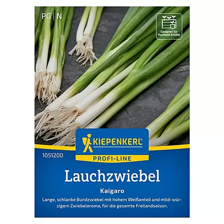 Kiepenkerl Profi-Line Gemüsesamen Lauchzwiebel Kaigaro