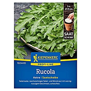 Kiepenkerl Profi-Line Salatsamen Salatrauke Astra (Eruca sativa, Erntezeit: Ganzjährig)