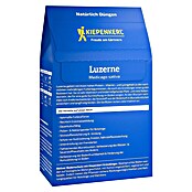 Kiepenkerl Gründüngung Luzerne (Medicago sativa, Inhalt reicht für ca. 100 Quadratmeter) | BAUHAUS