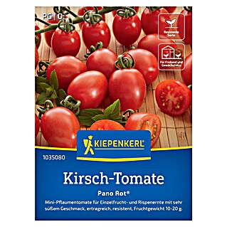 Kiepenkerl Profi-Line Gemüsesamen Kirsch-Tomate Pano