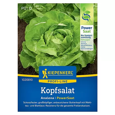 Kiepenkerl Profi-Line Salatsamen Kopfsalat Analena PowerSaat