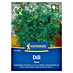 Kiepenkerl Profi-Line Kräutersamen Dill Tetra 