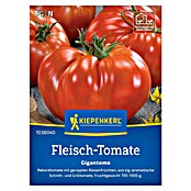 Kiepenkerl Profi-Line Gemüsesamen Fleisch-Tomate Gigantomo (Solanum lycopersicum, Erntezeit: Juli) | BAUHAUS