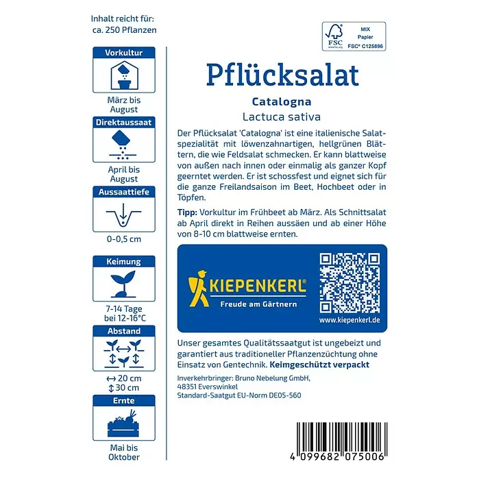 Kiepenkerl Pflücksalat Catalogna - Lactuca sativa - Samentüte für Pflücksalat 'Catalogna' von Kiepenkerl mit Anbauanleitung und QR-Code.