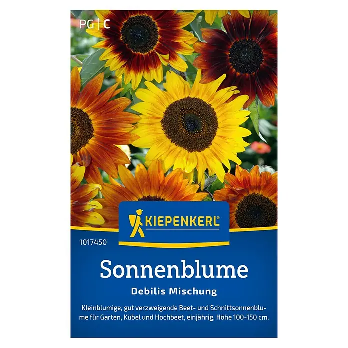 Kiepenkerl Blumensamen Sonnenblume - Helianthus debilis, Mehrfarbig - Sonnenblumen 'Debilis Mischung' Samenpackung von Kiepenkerl. Kleinblumige, gut verzweigte Beet- und Schnittsonnenblumen für Garten.