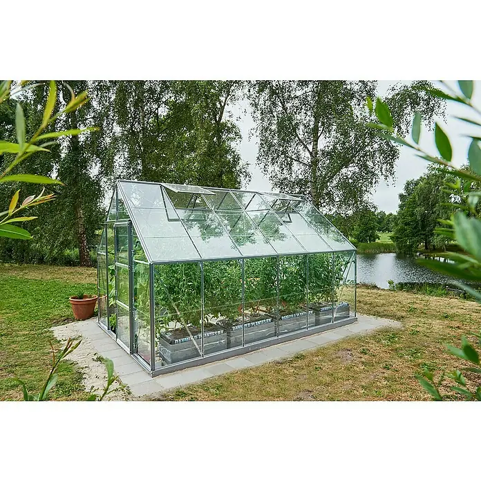 Halls Gewächshaus Universal 128Außenmaß inkl. Dachüberstand (B x T): 257 x 384 cm, Einscheibensicherheitsglas, 3 mm, Aluminium - Ein Gewächshaus mit Glaswänden und einem geneigten Glasdach. Innen befinden sich Pflanzen in grauen Behältern.