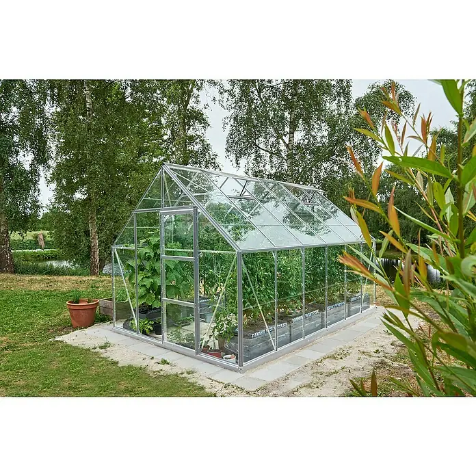 Halls Gewächshaus Universal 128Außenmaß inkl. Dachüberstand (B x T): 257 x 384 cm, Einscheibensicherheitsglas, 3 mm, Aluminium - Ein geräumiges Gewächshaus mit klarem Glas und Pflanzen im Inneren, umgeben von Grün. Ideal für Hobbygärtner, die ihre eigenen Pflanzen ziehen wollen.