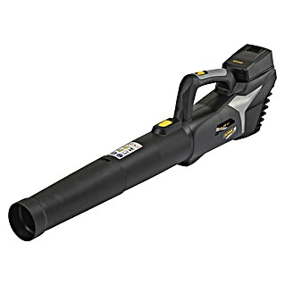 Alpina Soplador de hojas de batería AB20 (20 V, 1 batería, 4 Ah, Velocidad de soplado: 32 m/s, Potencia de soplado: 9 m³/min)
