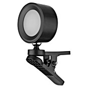 LED-Klemmleuchte Akku Clip-Spot (Schwarz) | BAUHAUS