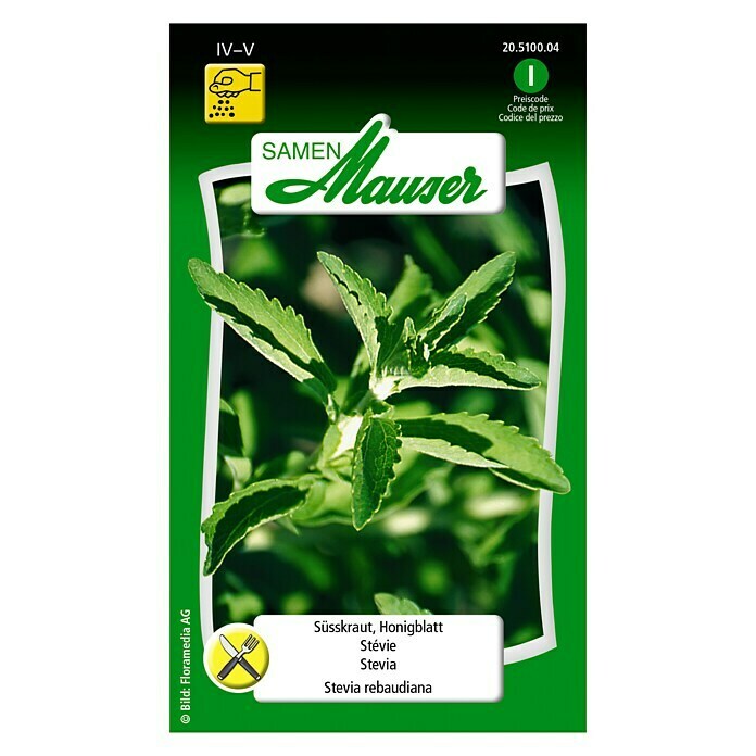 Samen Mauser Plante sucrante «chanvre d’eau» ou stévia