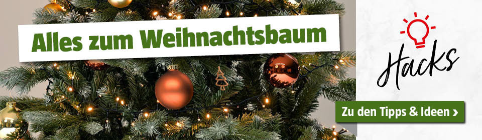 Alles zum Weihnachtsbaum