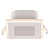Trio Lighting Foco empotrable Nimbus (Blanco, L x An x Al: 8 x 8 x 3 cm, Blanco cálido) | BAUHAUS