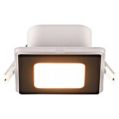 Trio Lighting Foco empotrable Nimbus (Negro, L x An x Al: 8 x 8 x 3 cm, Blanco cálido) | BAUHAUS