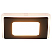 Trio Lighting Foco empotrable Nimbus (Negro, L x An x Al: 8 x 8 x 3 cm, Blanco cálido) | BAUHAUS